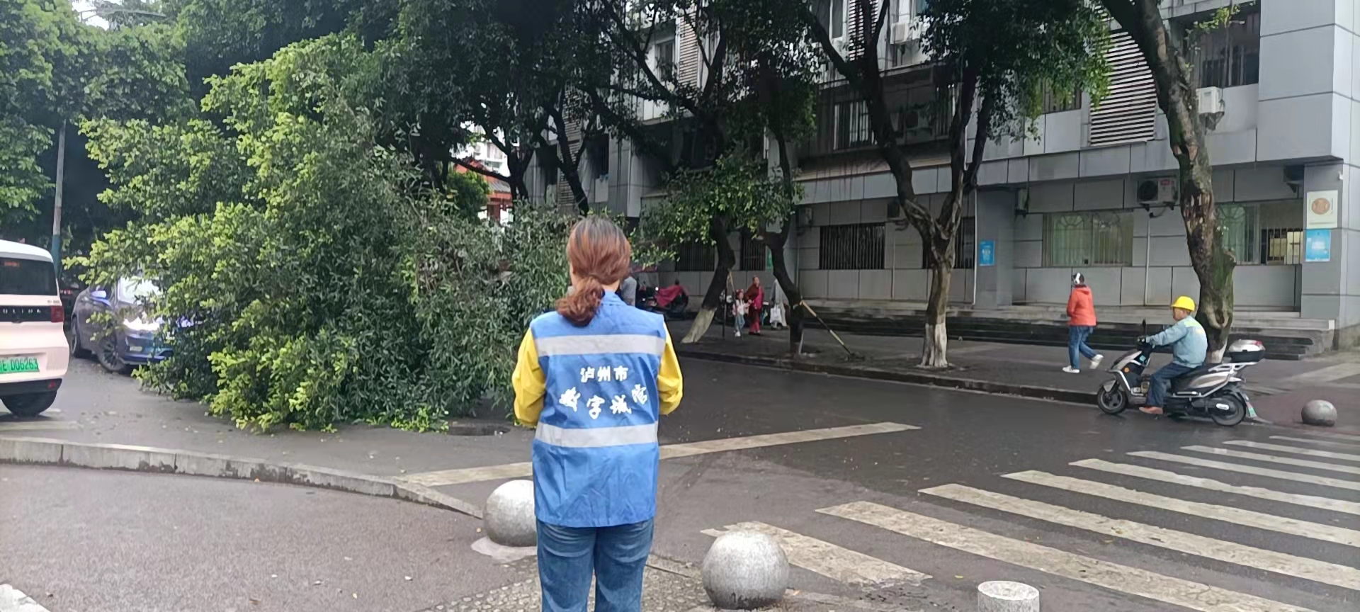 堅持雨后精準采集，共護市民出行安全