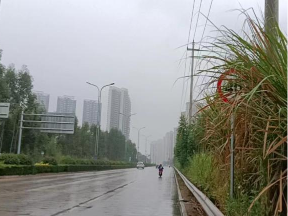 全力以赴戰寒潮，姜汁湯圓暖人心